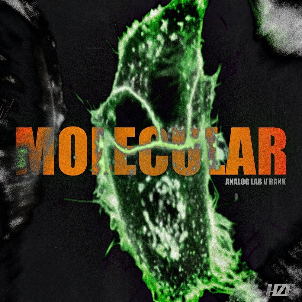 Molecular Analog Lab V Bank