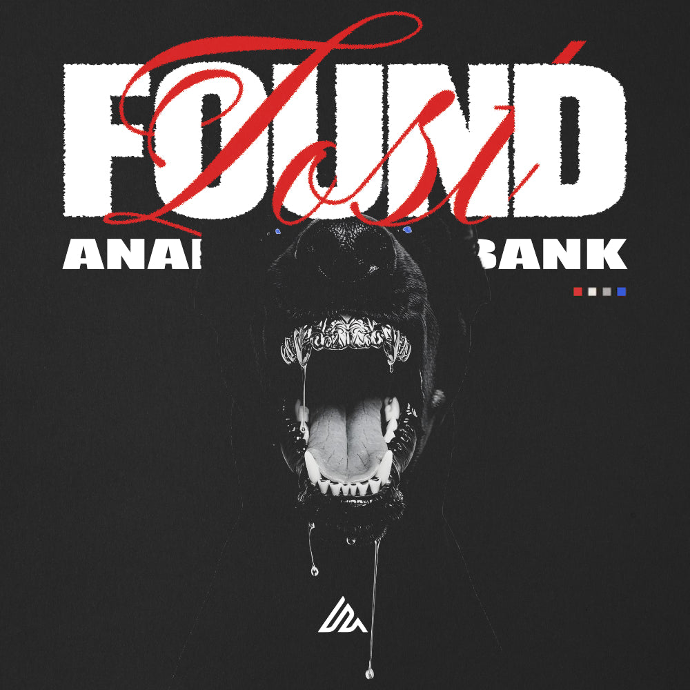 LOST N FOUND (ANALOG LAB V BANK)