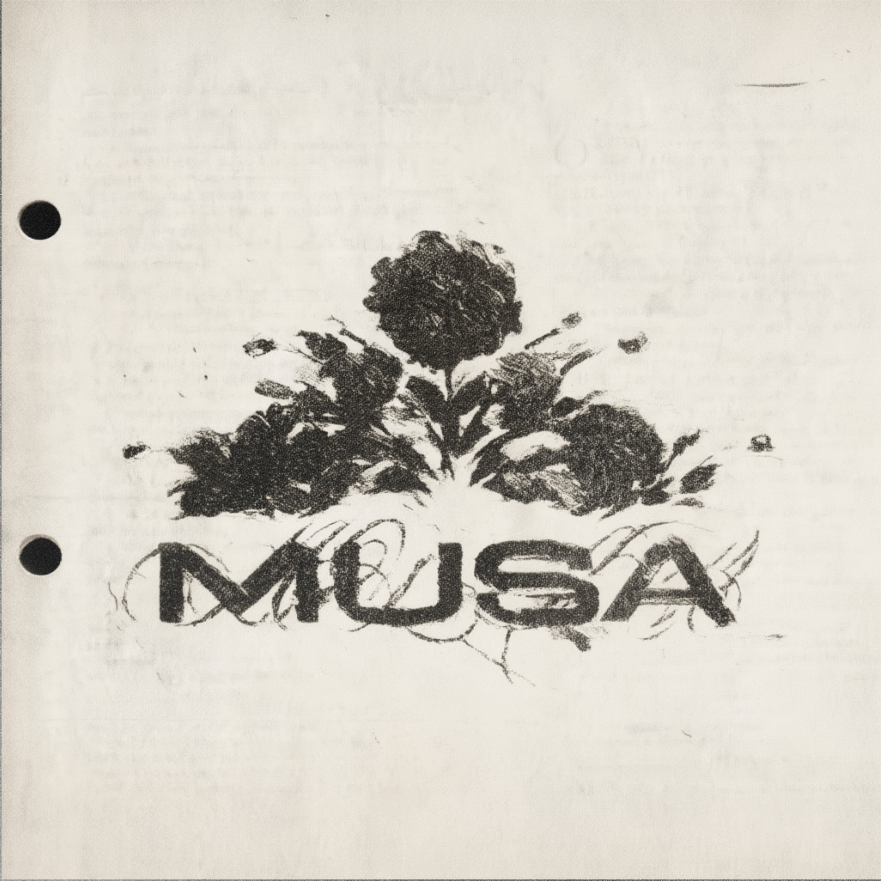MUSA (R&B SOUL)