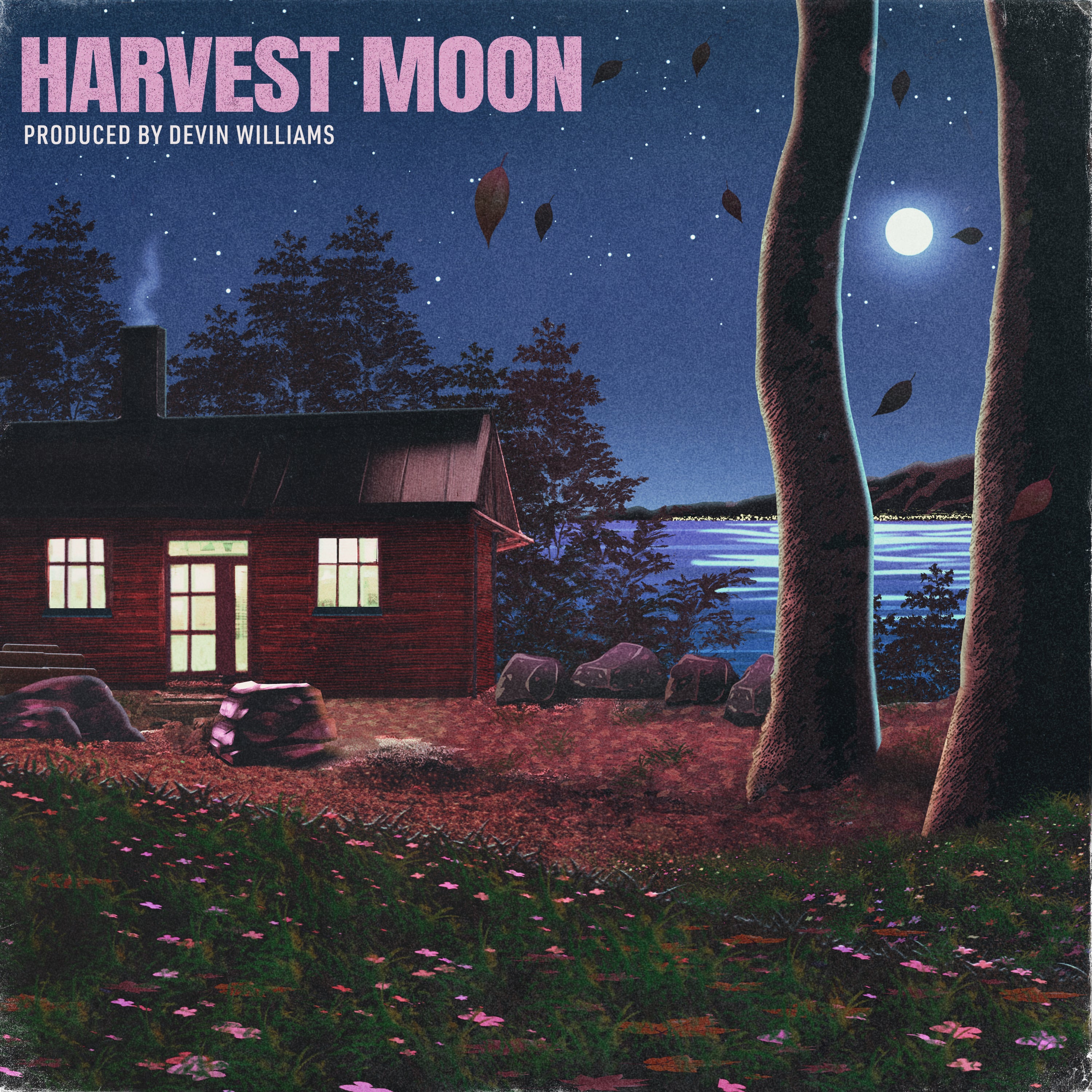 Harvest Moon (Melodic, Acoustic)