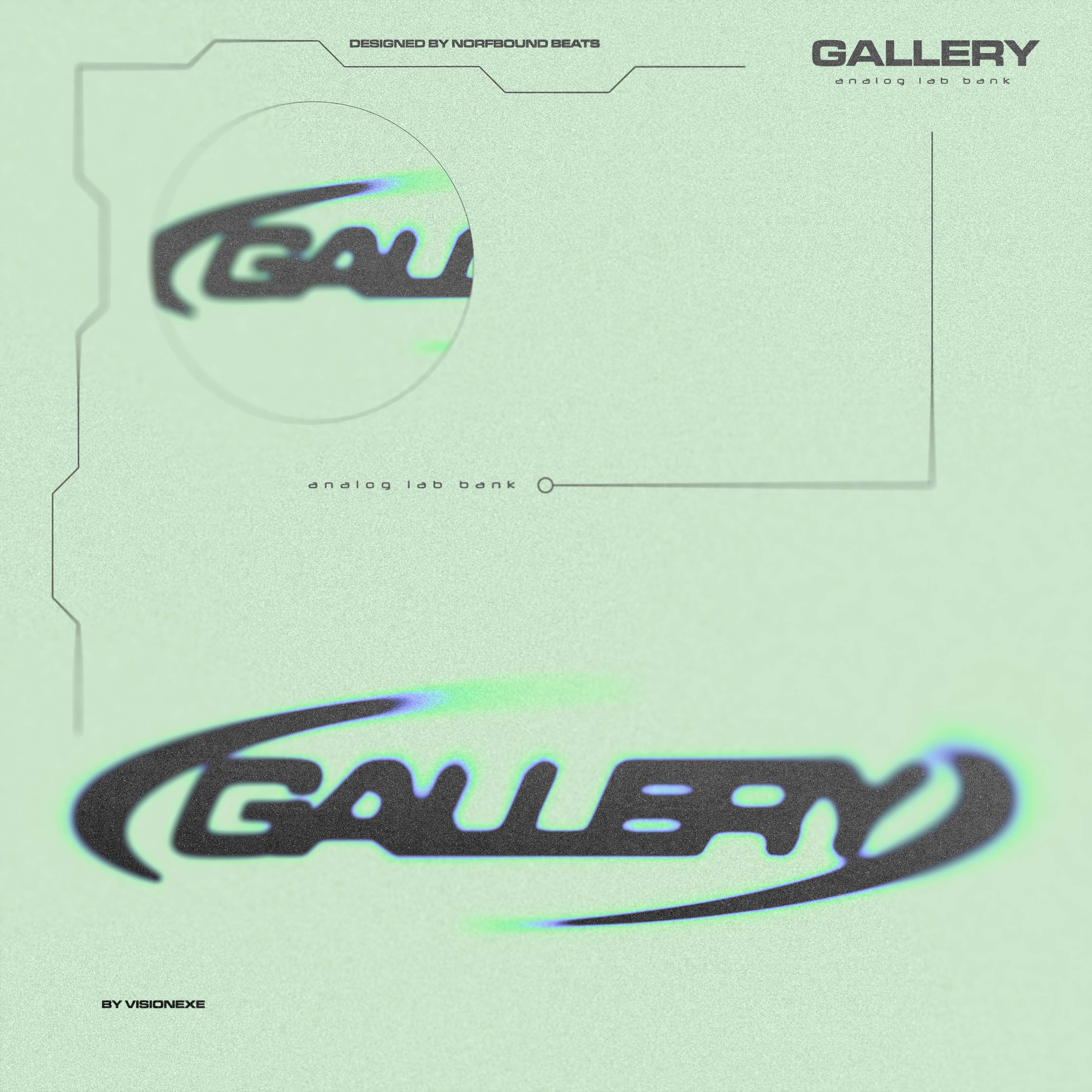 GALLERY (ANALOG LAB V)