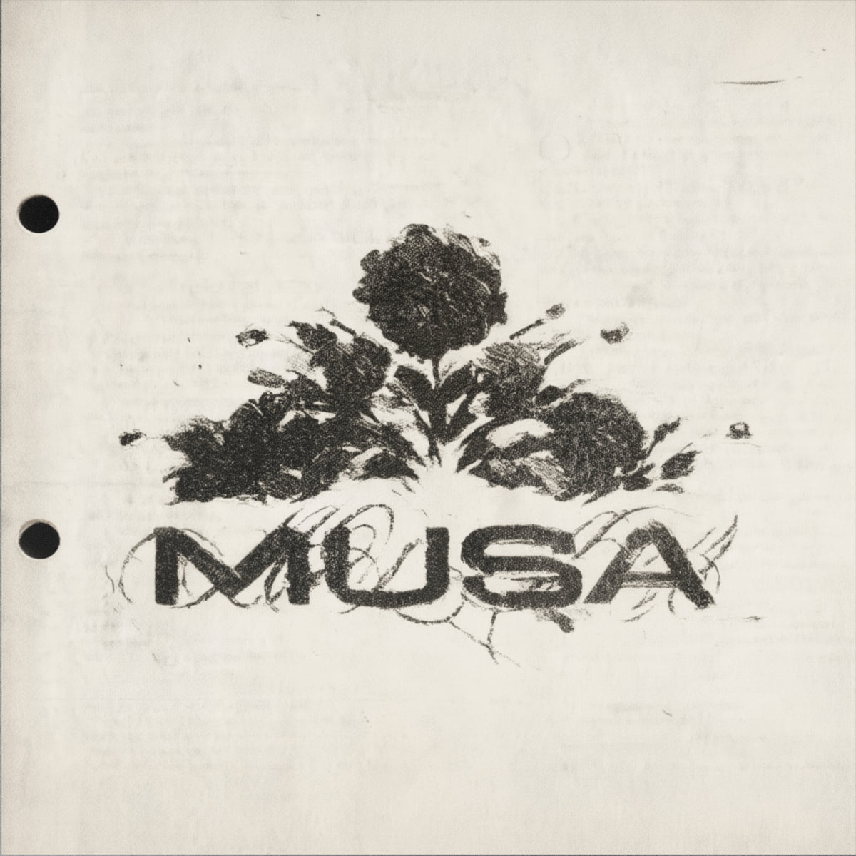 MUSA (R&B SOUL)