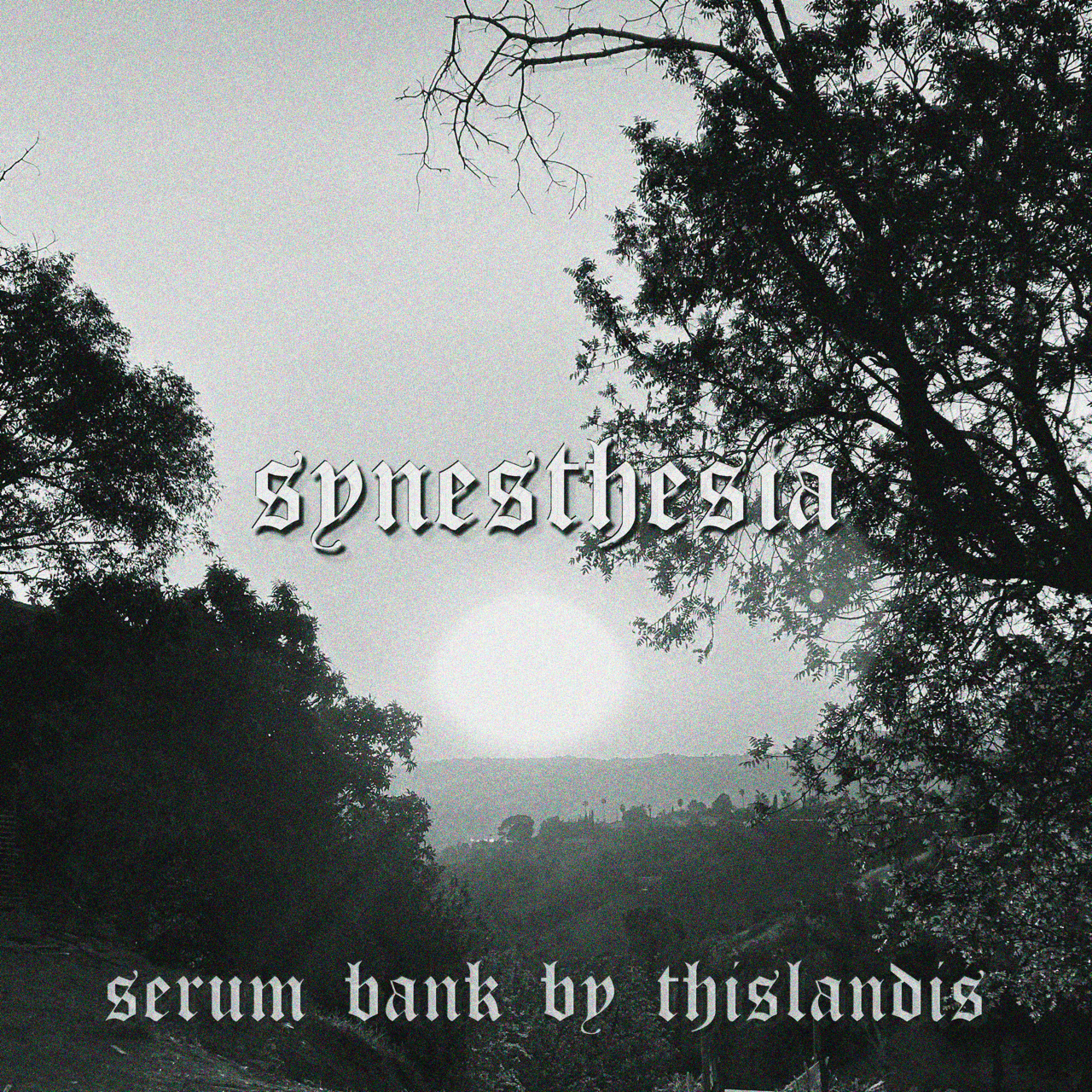 Synesthesia (Serum Bank)